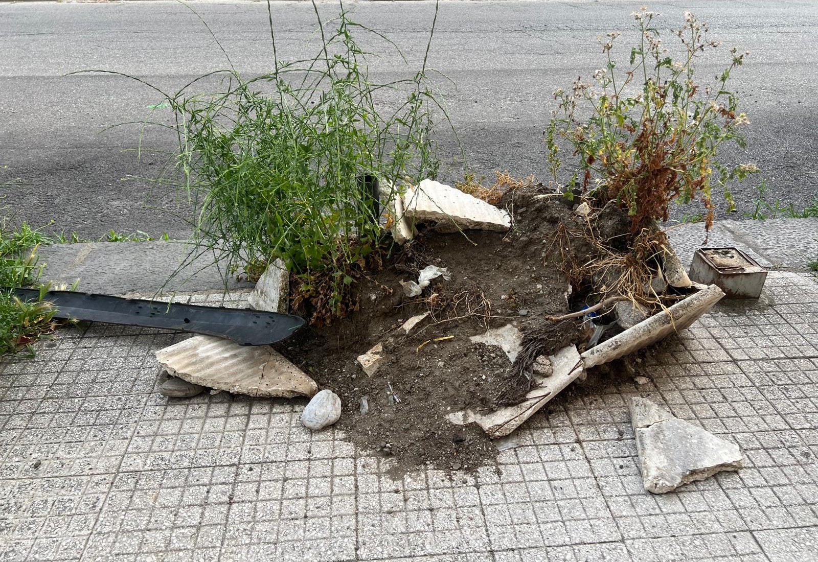 Degrado sul viale Europa: “È triste vedere una delle strade principali lasciata in queste condizioni”